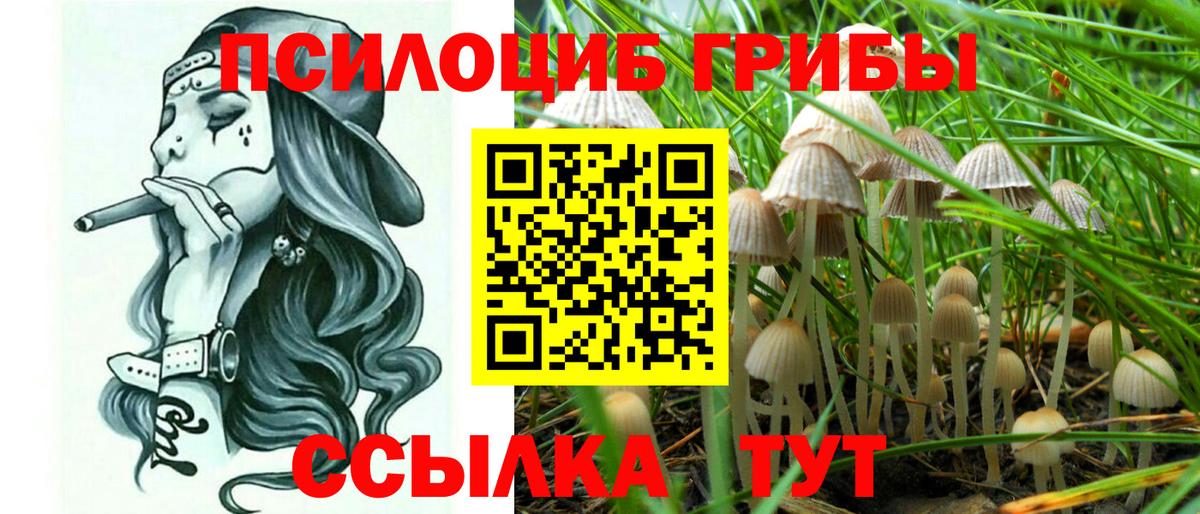 Галлюциногенные грибы Psilocybe  Вход с VPN  Псилоцибиновые грибы Psilocybine cubensis  Кимовск 